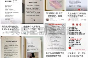 情感咨询赛道副业项目，教你在短视频平台精准引流获客