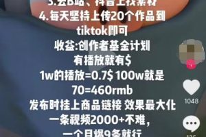抖音搞流量玩法，1天搞个100-200人，日变现可达500+