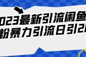 2023最新引流闲鱼创业粉暴力引流日引200+