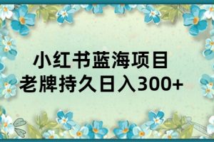 小红书老牌项目，新手小白值得操作，日入300+