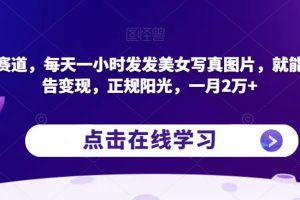 蓝海赛道，每天一小时发发美女写真图片，就能接广告变现，正规阳光，一月2万+