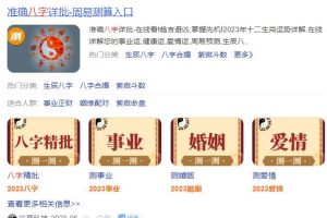 玄学项目结合AI的野路子玩法！