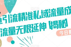 咸鱼引流精准私域流量成交流量无限延伸
