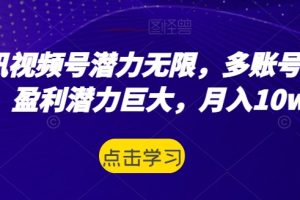 腾讯视频号潜力无限，多账号运营，盈利潜力巨大，月入10w+