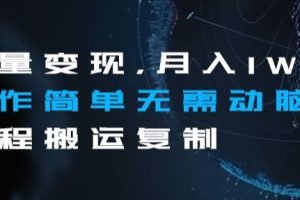 流量变现，月入1W+操作简单无需动脑全程搬运复制