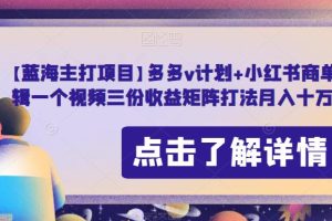 【蓝海主打项目】多多v计划+小红书商单，AI剪辑一个视频三份收益矩阵打法月入十万