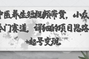 中医养生短视频带货，小众冷门赛道，详细的项目思路+起号变现