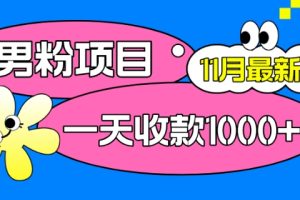 11月最新男粉项目，日引500+色粉，一天收款1000+
