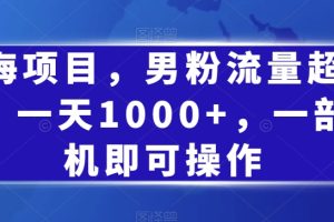 蓝海项目，男粉流量超级猛，一天1000+，一部手机即可操作