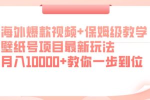 海外爆款视频+保姆级教学，壁纸号项目最新玩法，月入10000+教你一步到位