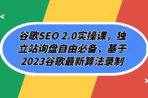 谷歌SEO 2.0实操课，独立站询盘自由必备，基于2023谷歌最新算法录制（94节视频课）
