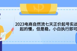 2023电商自然流七天正价起号实战课：起的慢，但是稳，小白执行即可！