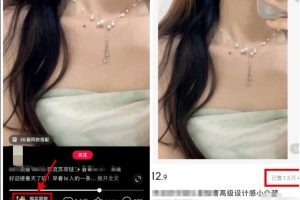 新风口项目：小红书无货源，单品卖货月入7W+！