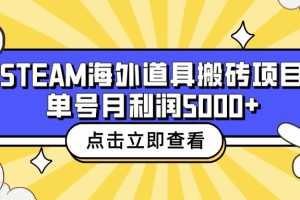 收费6980的Steam海外道具搬砖项目，单号月收益5000+全套实操教程