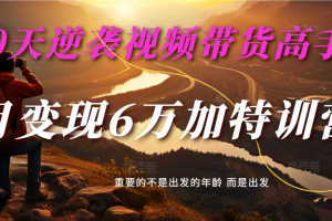 30天逆袭视频带货高手，单月变现6万加特训营-麦子甜