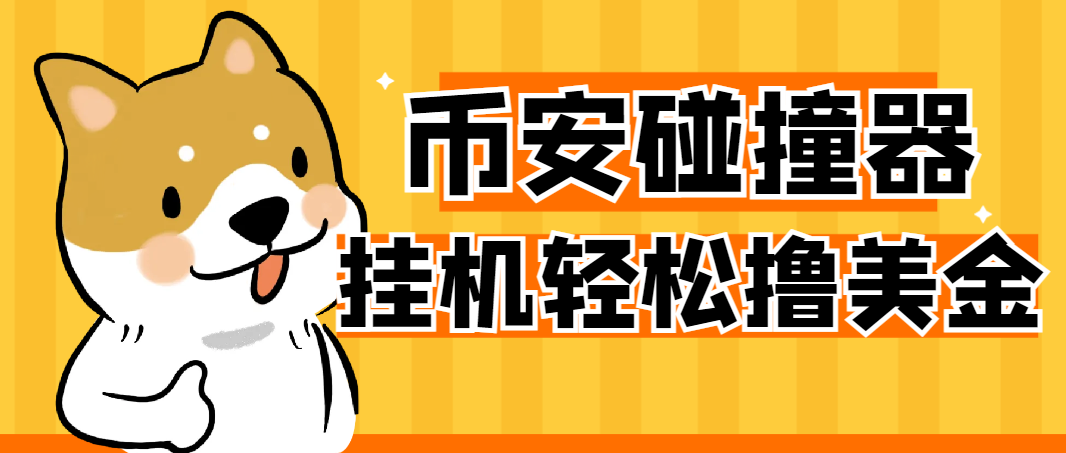 【卡密项目】外面收费2999的币安链上USDT碰撞项目，单窗口收益四位数【协议脚本+使用教程】