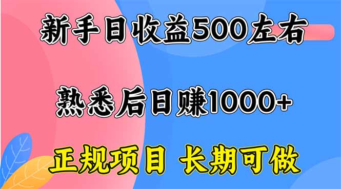 新手日收益500+ 正规项目 长期可做