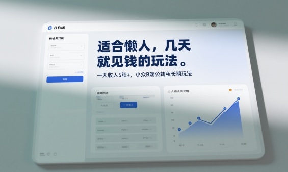 适合懒人,几天就见钱的玩法,一天收入5张+,小众B端公转私长期玩法