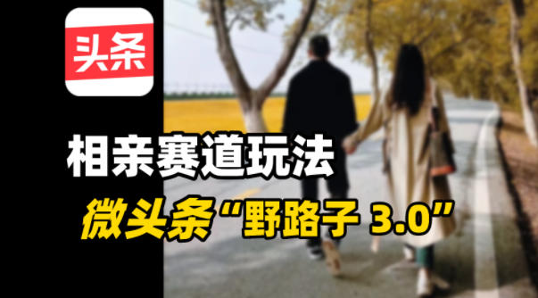 微头条“野路子3.0”相亲赛道玩法，搬砖式操作单号稳定300+