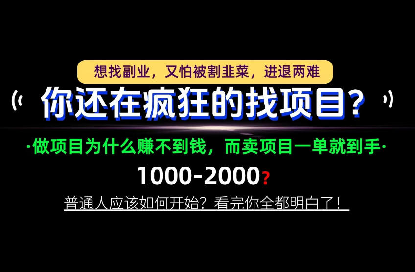 你还在疯狂的找项目?别傻了!卖项目才是真正的一本万利!怎么做,看完你全都明白